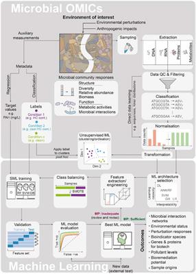 Interfacing Machine Learning and Microbial Omics: A Promising Means to Address Environmental Challenges